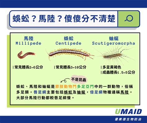 為何家裡有蜈蚣|家裡有蜈蚣怎麼處理？出現原因、5大驅趕方法&蜈蚣入屋風水 –